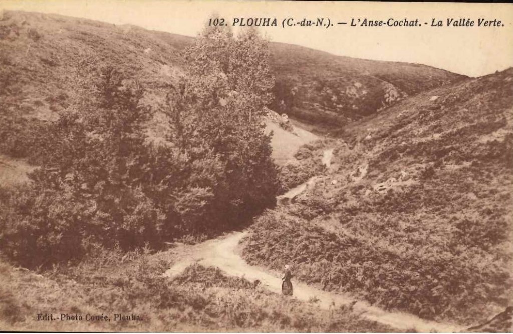 102 - Plouha - l'Anse Cochat - La vallée verte.jpg