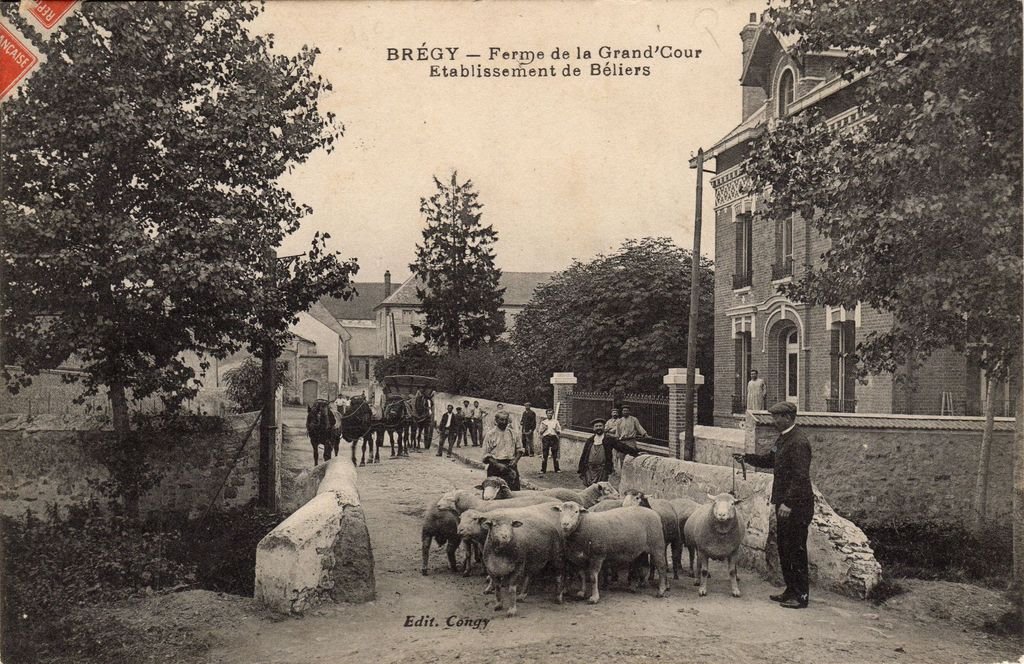 60 - BREGY - 13 1 -  Ferme de la Grand'Cour - Etablissement de Béliers - Edit. Congy (ital.) - 05-11-24.jpg