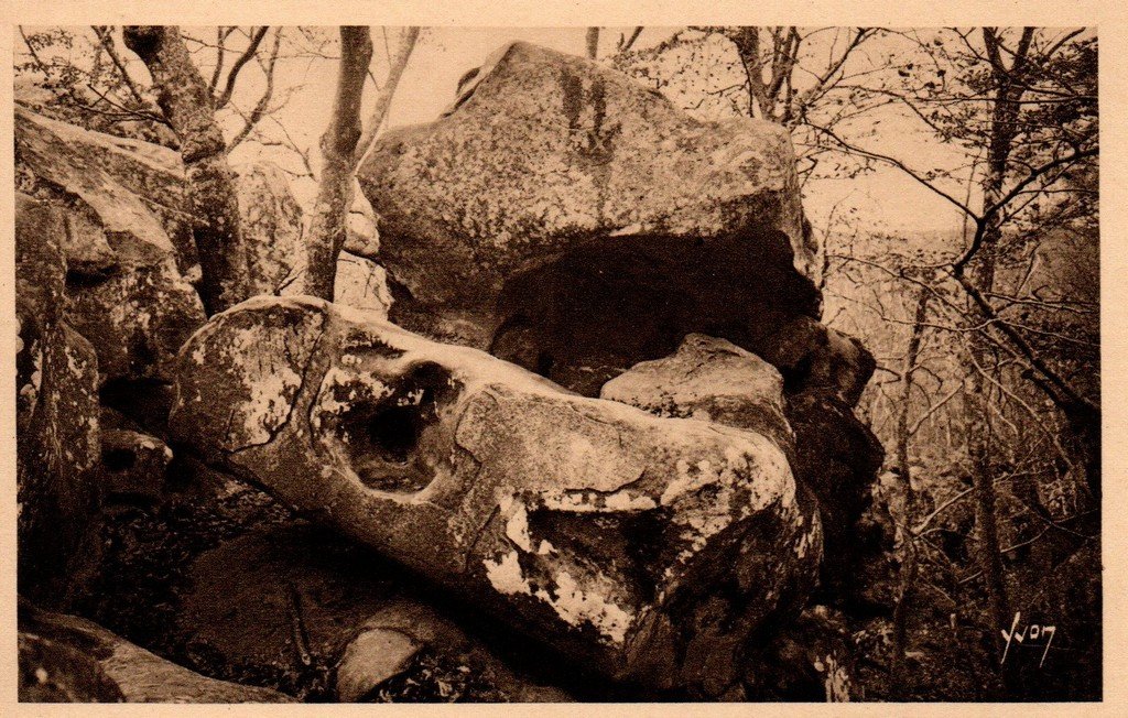 Fontainebleau 20 Yvon.jpg