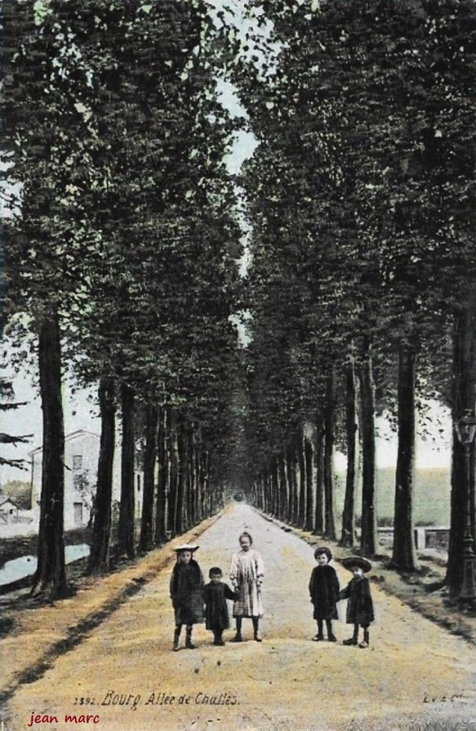 Bourg-en-Bresse - Allée de Challes.jpg