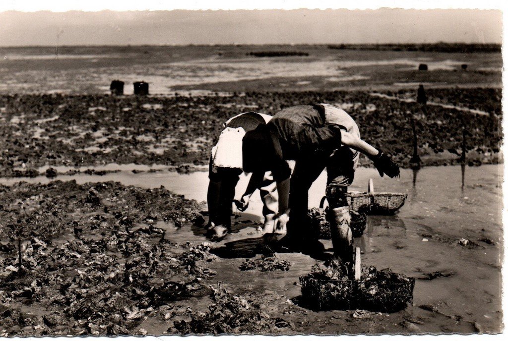 Pêcheurs Le Château d'Oléron Réal-photo.jpg