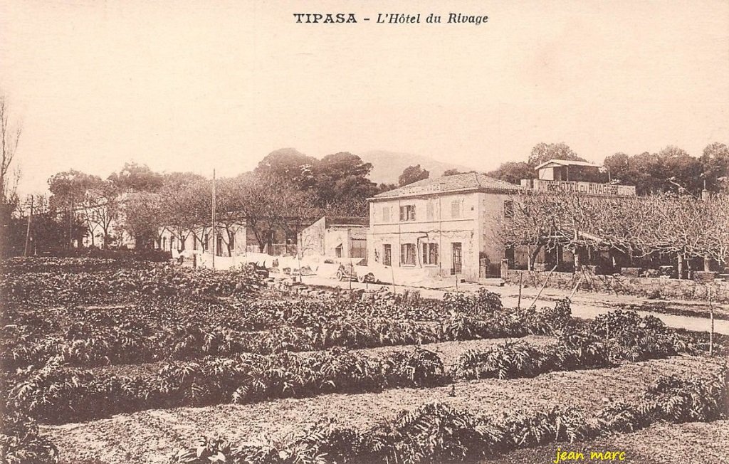 Tipasa - L'Hôtel du Rivage.jpg