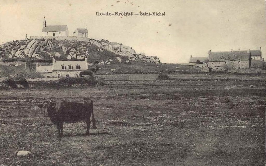 Bovin Ile de Bréhat - BZh35.jpg
