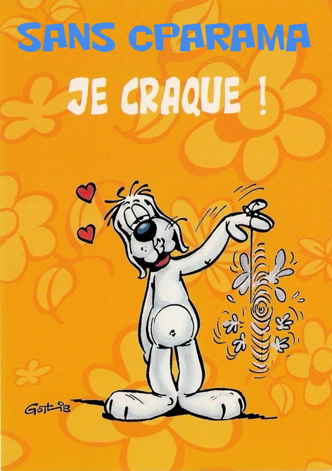 sans toi.jpg