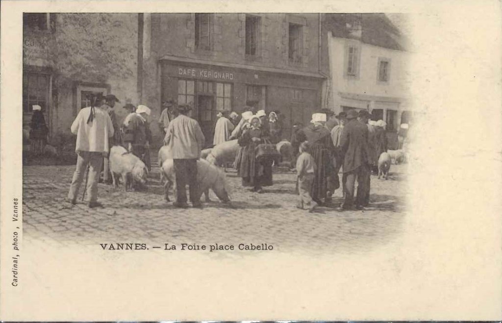 Cochons Vannes - La foire place Cabello.jpg