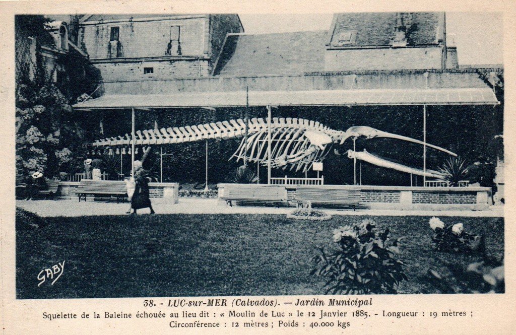 Luc 58 Artaud.jpg