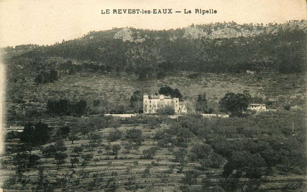 Le Revest Bozon Ripelle.jpg