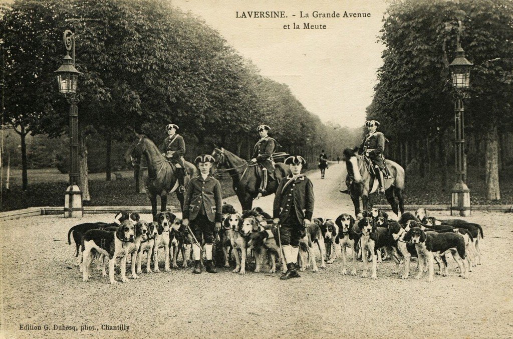 Chiens + Laversines (2).jpg