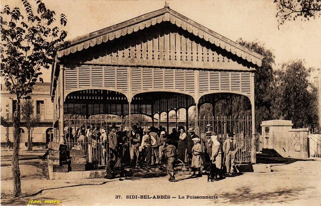 Sidi-bel-Abbès - La Poissonnerie (Collection Idéale P.S.).jpg