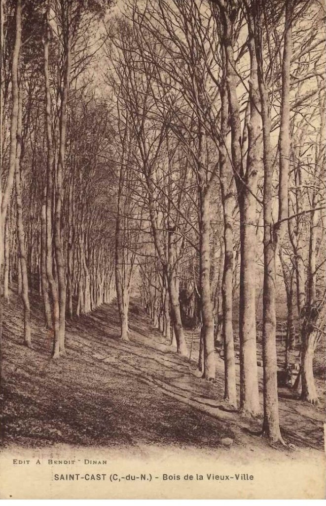 Saint Cast - Bois de la Vieux-Ville.jpg