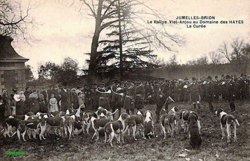 Chiens-Brion-49.jpg