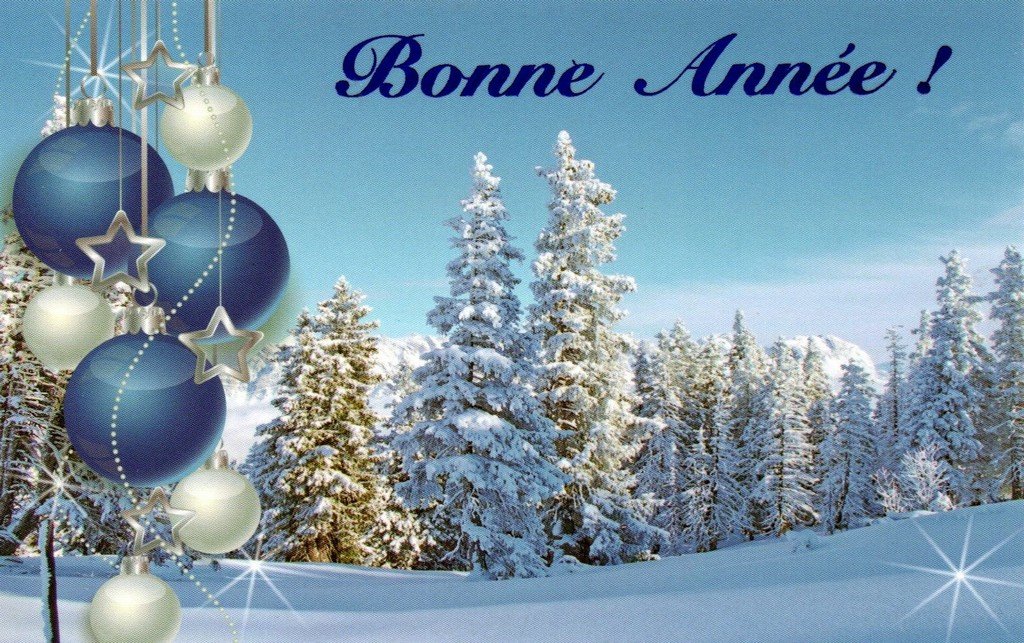 Bonne Année 2025.jpg