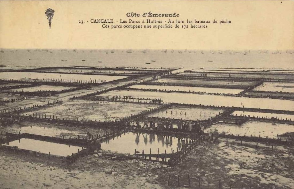23 - Cancale - Les parcs à huitres - Au loin les bâteaux de pêche....jpg