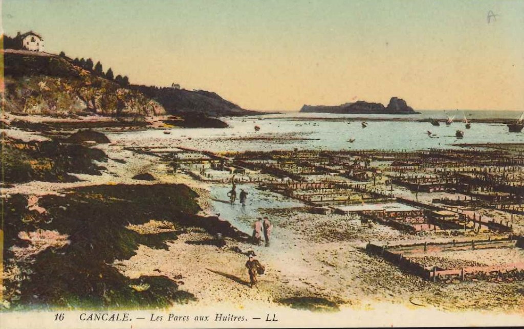 16 - Cancale - Les parcs aux huitres.jpg