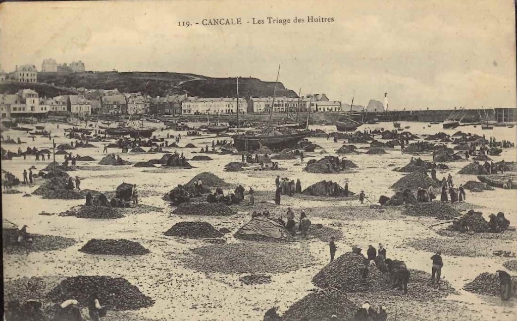 119 - Cancale - Le triage des Huitres.jpg