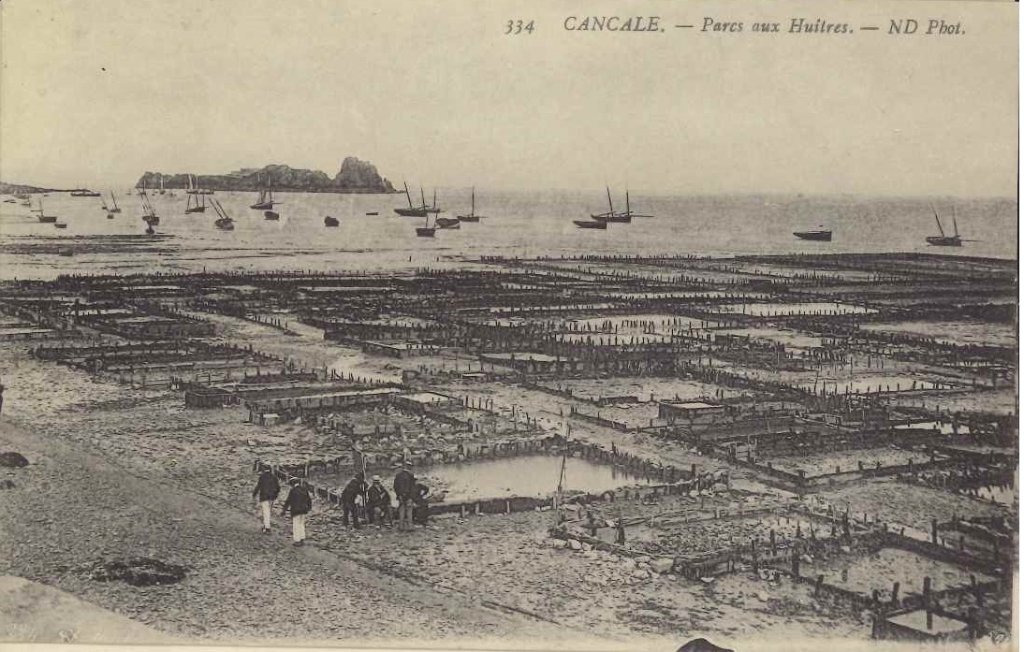 334 - Cancale - Parcs aux huitres.jpg