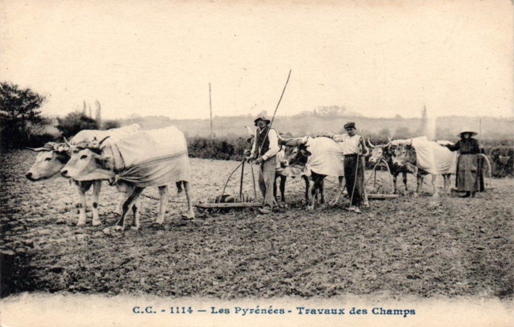 Carte non localisée 1114 + Attelage.jpg