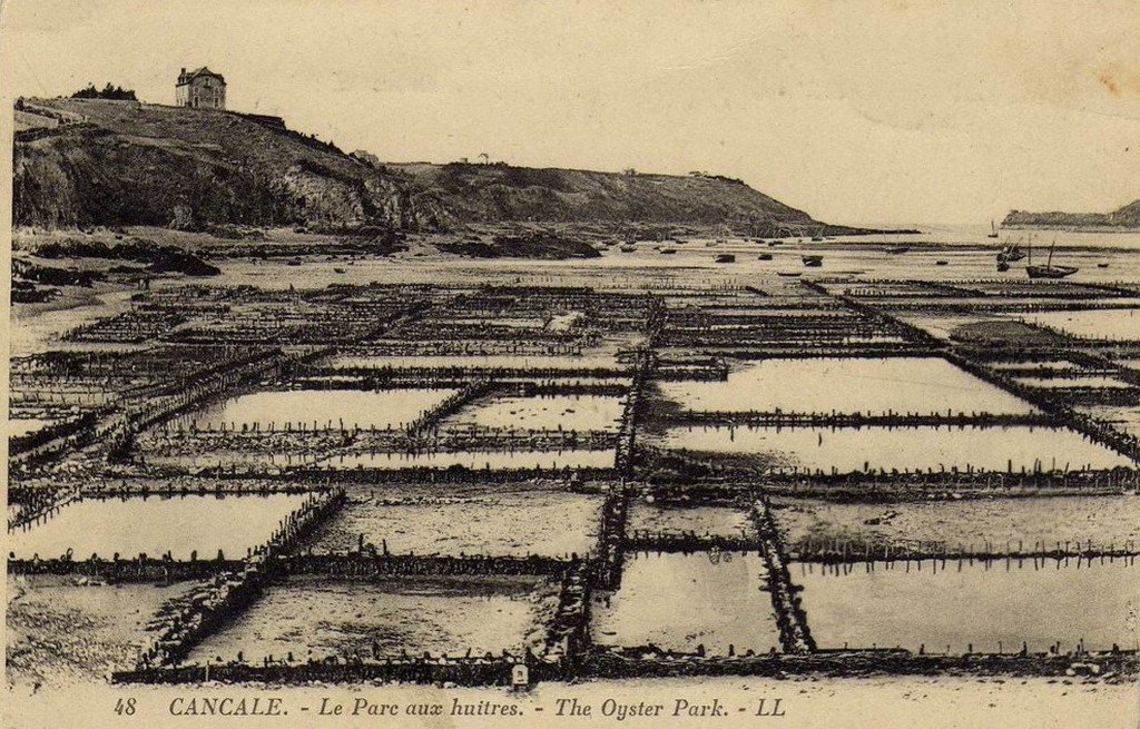 Cancale 48 LL.jpg
