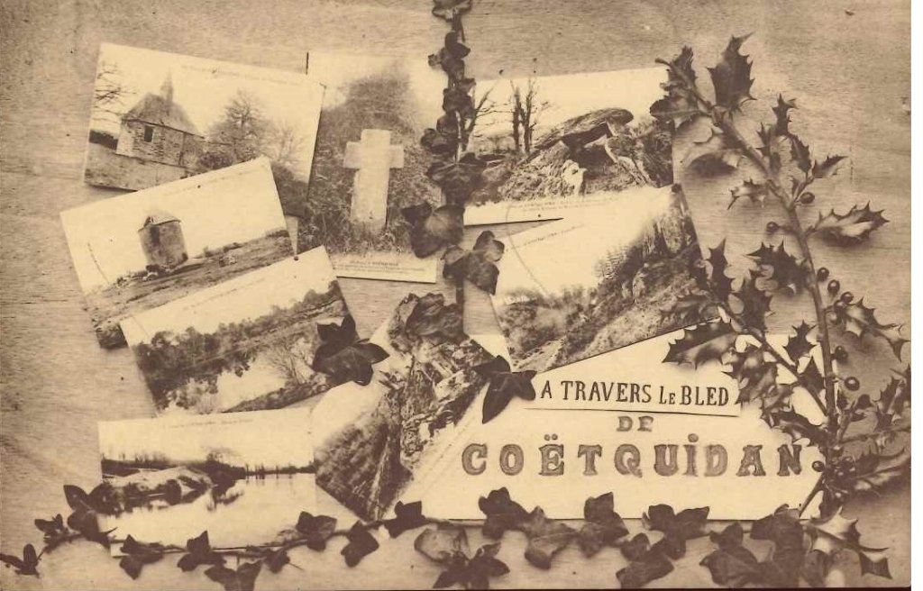 A travers le bled de Coëtquidan - multivue.jpg