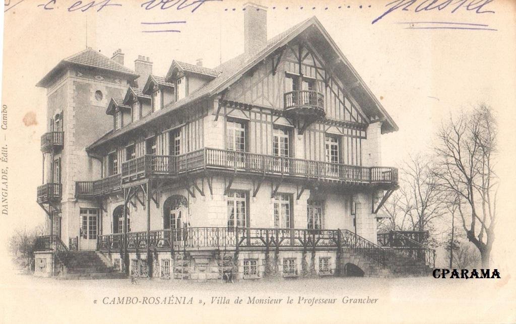Cambo Rosaenia.jpg
