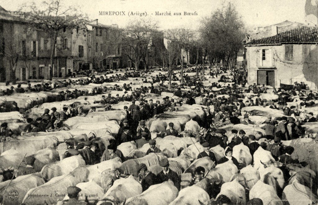 Bovins Mirepoix 8.jpg