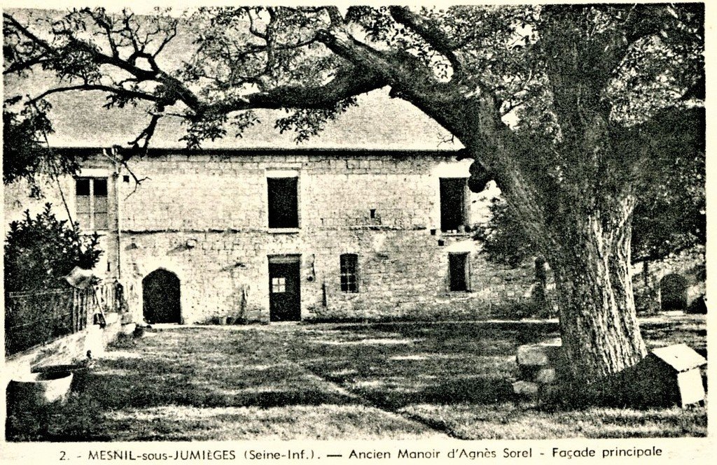 Le Mesnil sous Jumièges (2).jpg