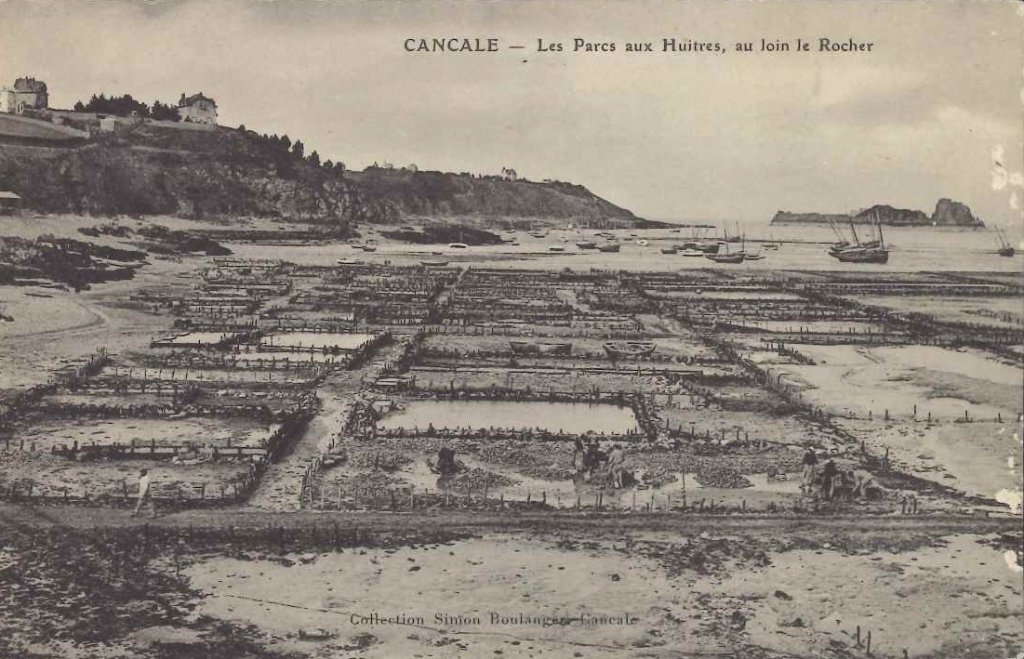 Cancale - Les parcs aux huitres, au loin le rocher.jpg