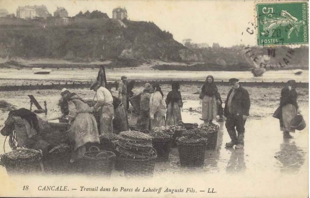 18 - Cancale - Travail dans les parcs de Lehoërff Auguste Fils.jpg