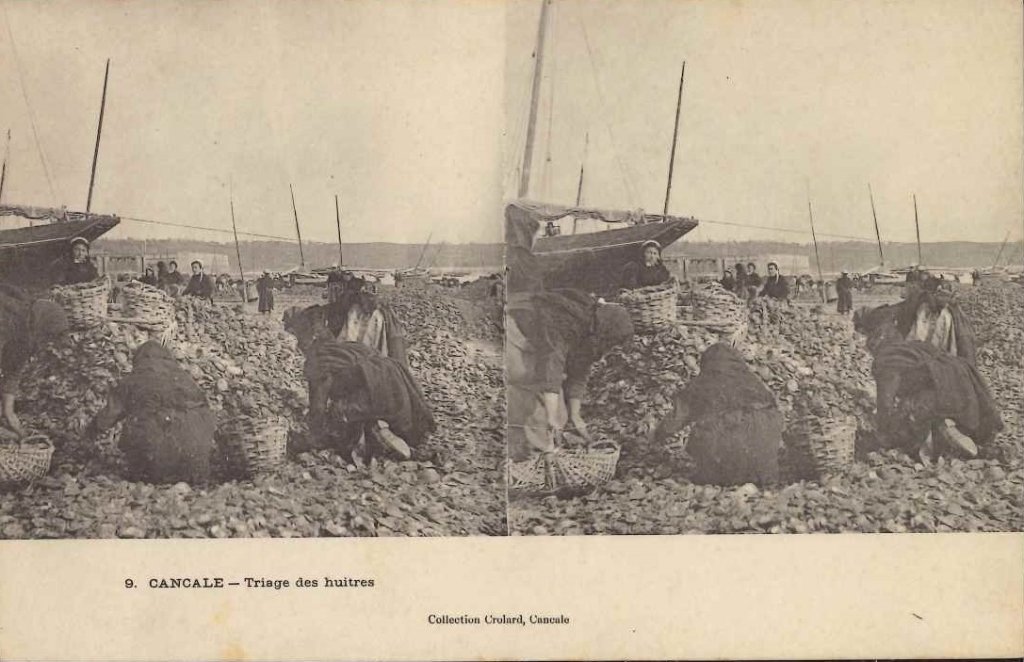 9 - Cancale - Triage des huitres.jpg
