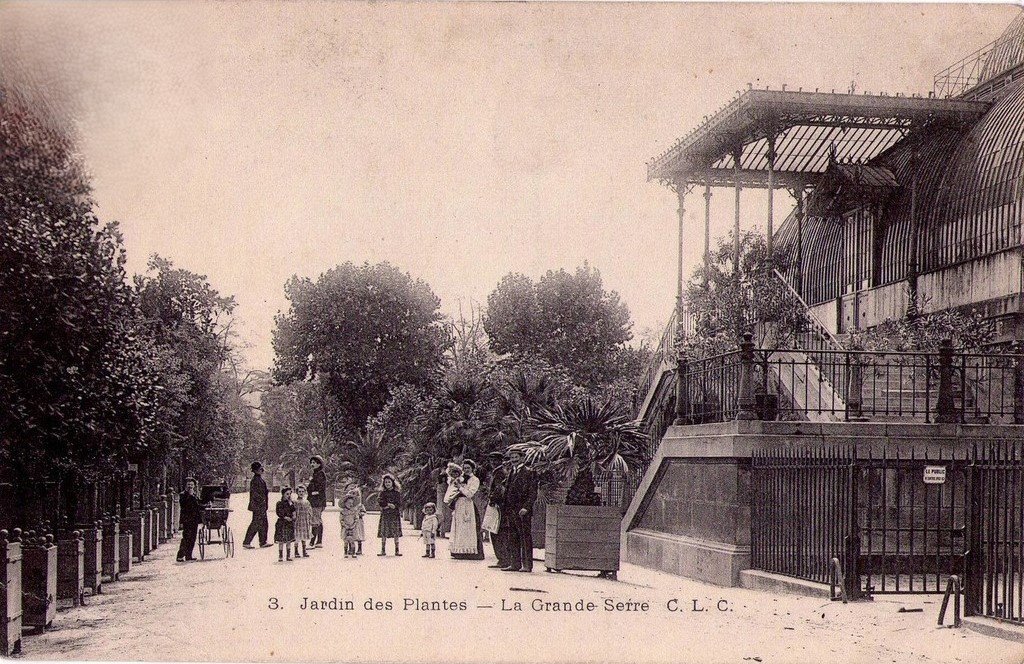 Paris J. des Plantes 3 Grande Serre CLC.jpg