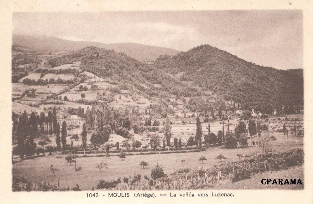 Moulis Enjuanes 1042.jpg