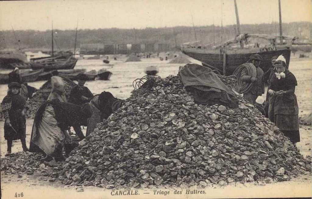 416 - Cancale - Triage des huitres.jpg