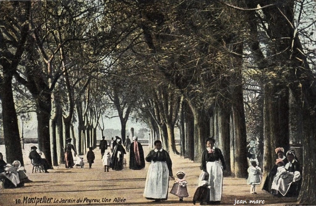 Montpellier - Le Jardin du Peyrou. Une Allée.jpg
