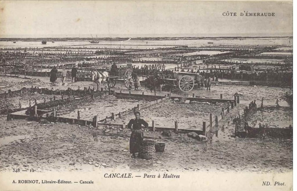 348 - 12 - Cancale - Parcs à huitres.jpg