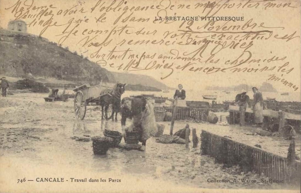 746 - Cancale - Travail dans les parcs.jpg