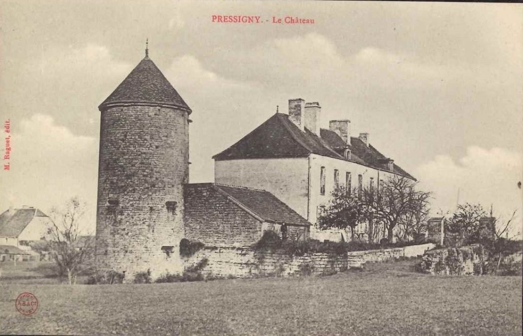 Pressigny - le château.jpg