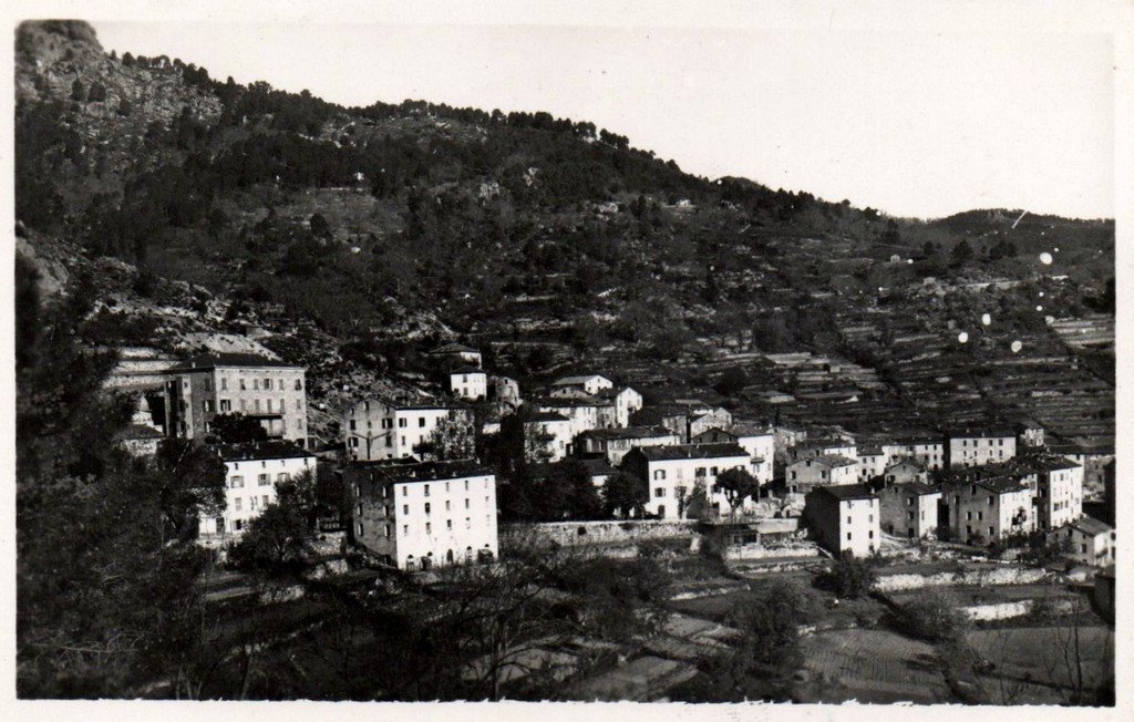 Ghisoni.jpg