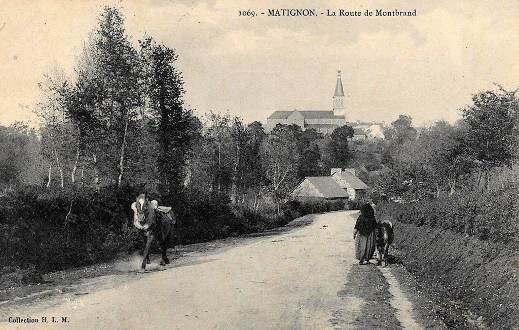 Matignon 1069 HLM.jpg