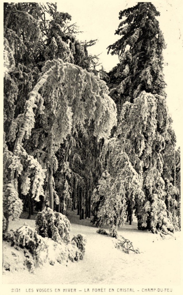 Champ du Feu (Cne de Rothau) (3)..jpg