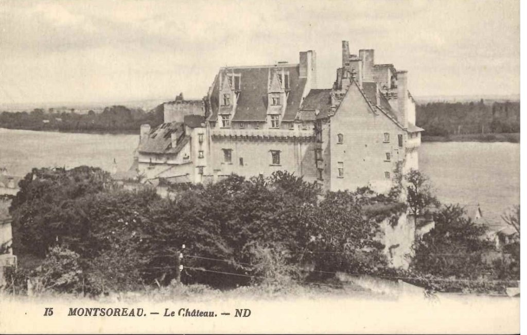 15 - Montsoreau - le château.jpg