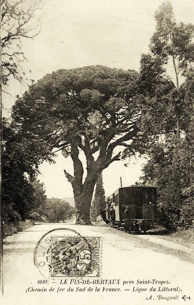 A Saint-Tropez - Bertaud 83.jpg