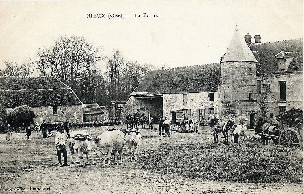 Rieux 2.jpg