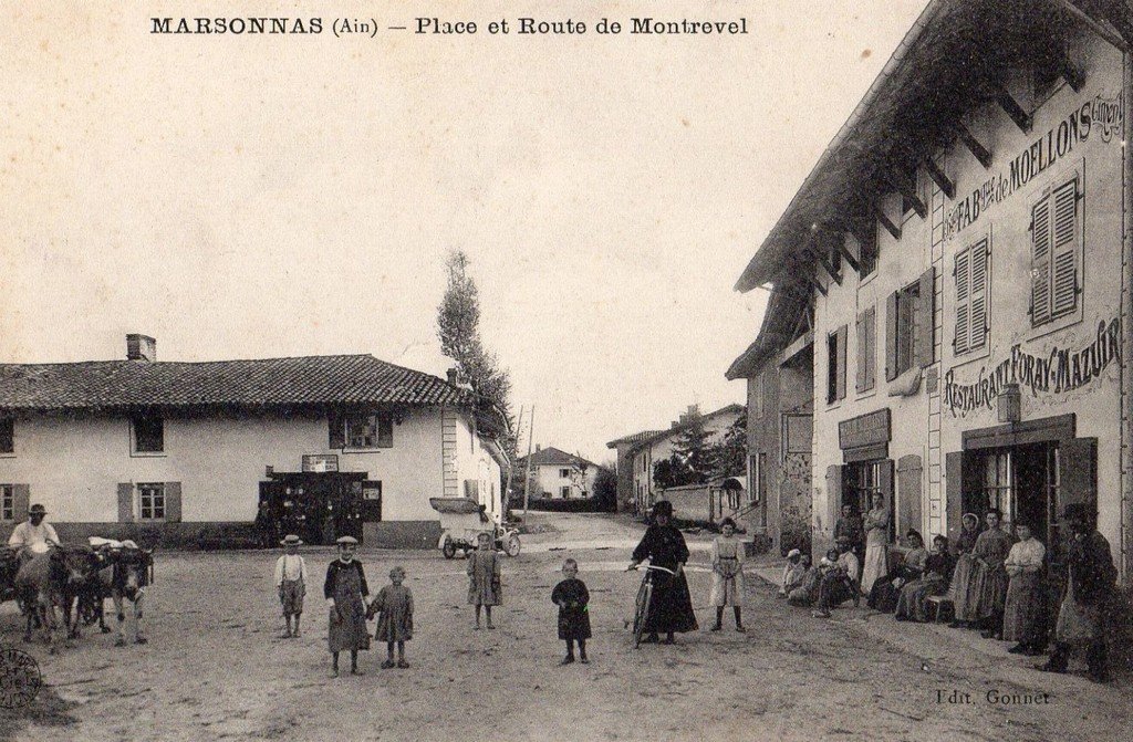 Marsonnas 01 Gonnet.jpg