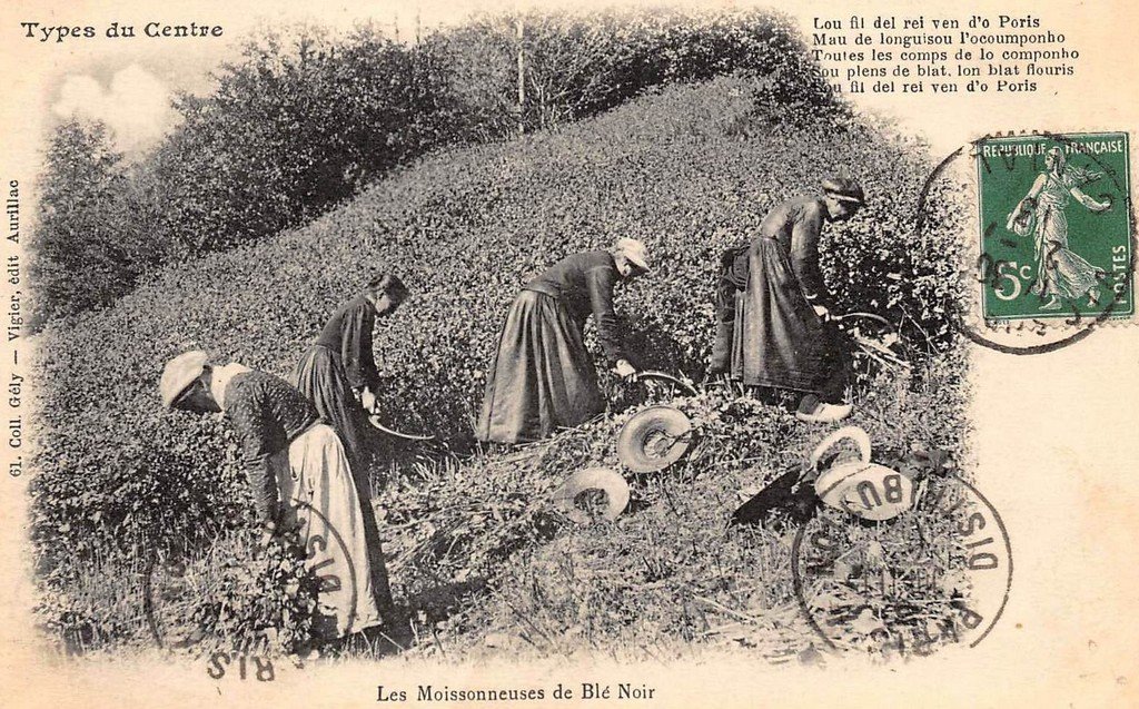 Type du Centre Gély.jpg