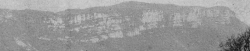 Isere savoie detail.JPG