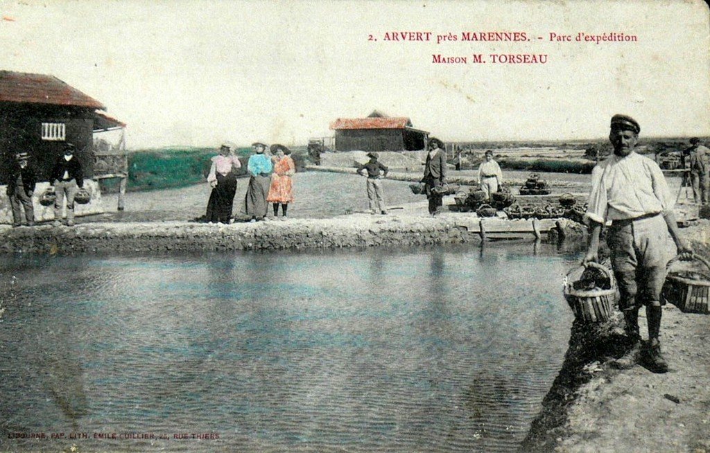 Arvert 2c.jpg