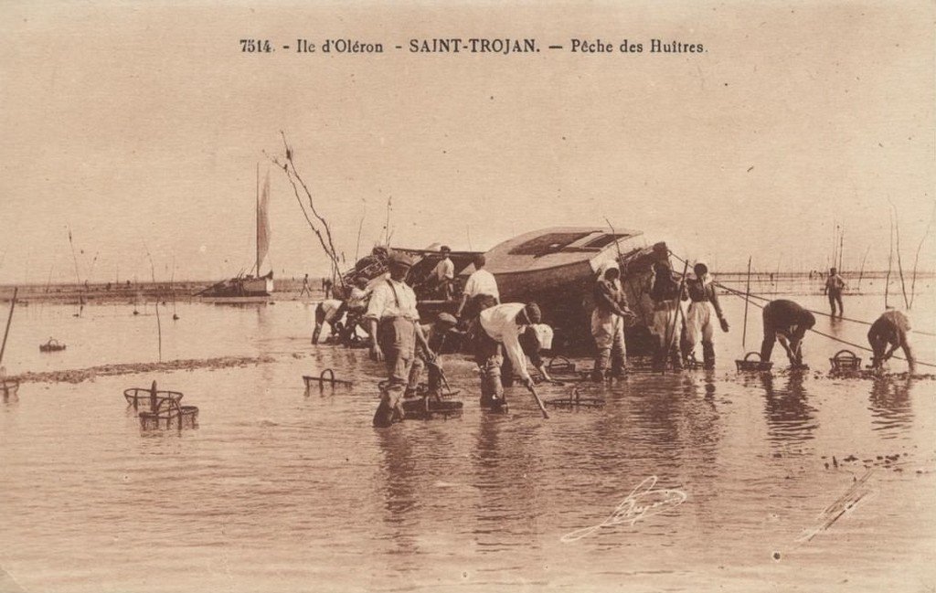 Pêche St-Trojean-peche-huitres.jpg