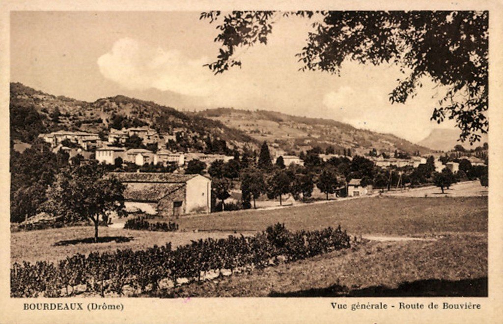 Bourdeaux 1..jpg