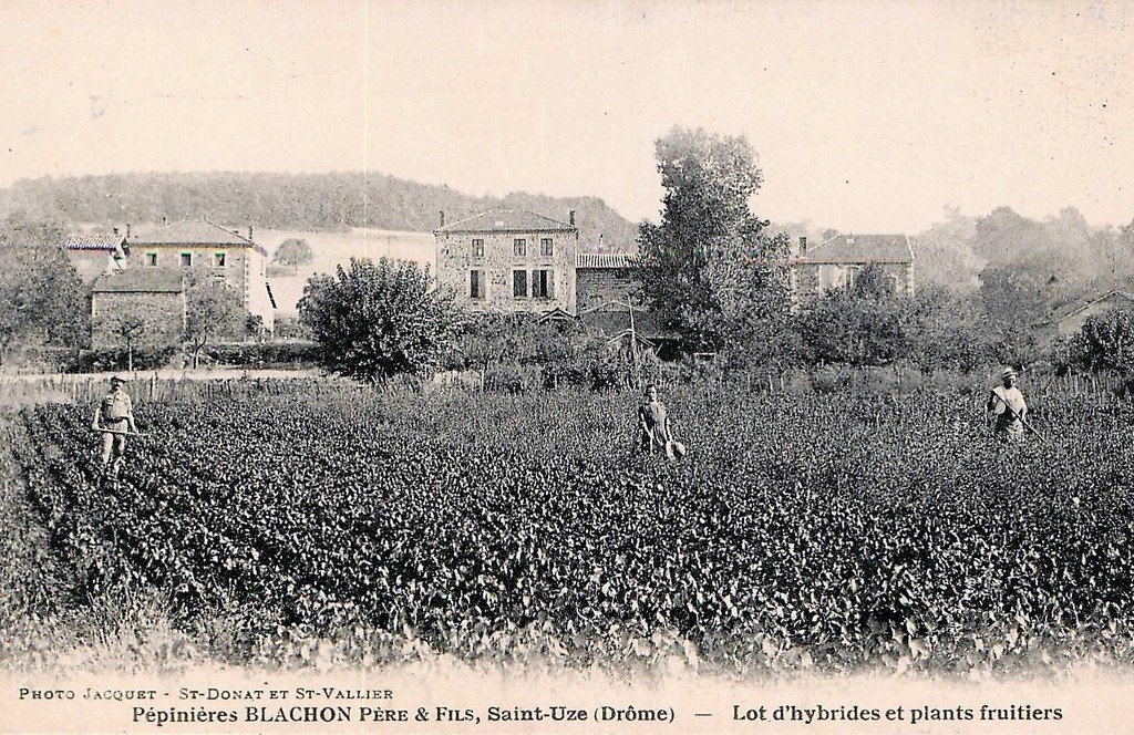 Saint-Uze Jacquet.jpg
