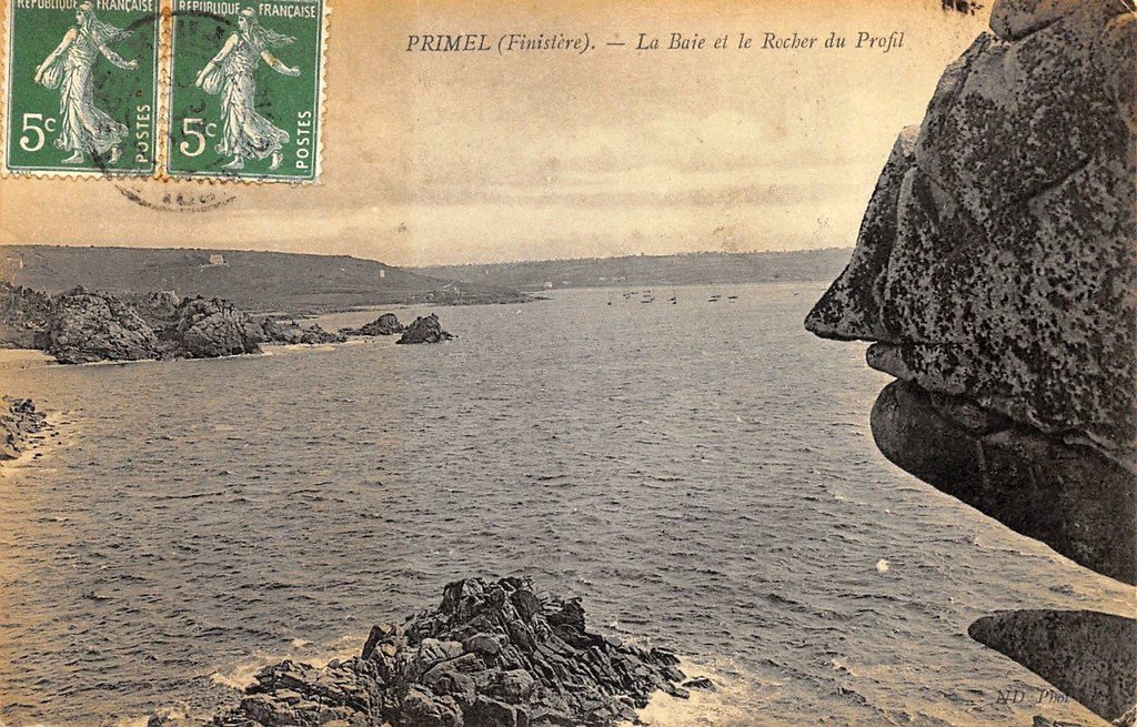 Primel ND.jpg